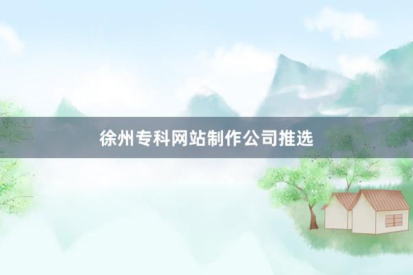 徐州专科网站制作公司推选