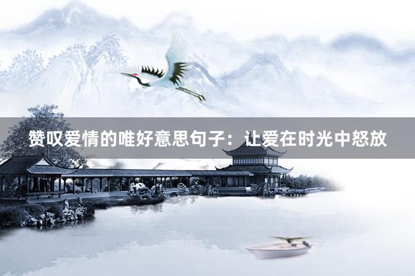 赞叹爱情的唯好意思句子：让爱在时光中怒放