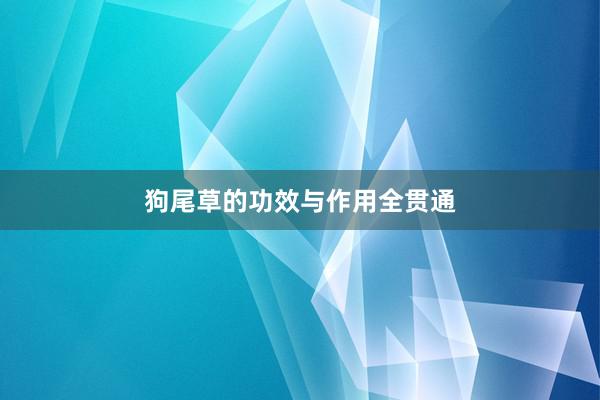 狗尾草的功效与作用全贯通